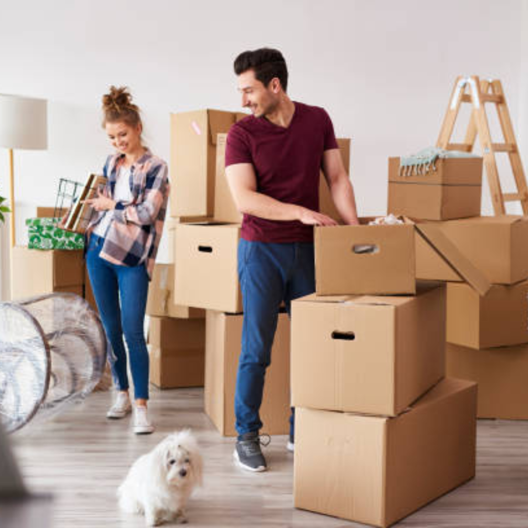 Domestic shifting Service